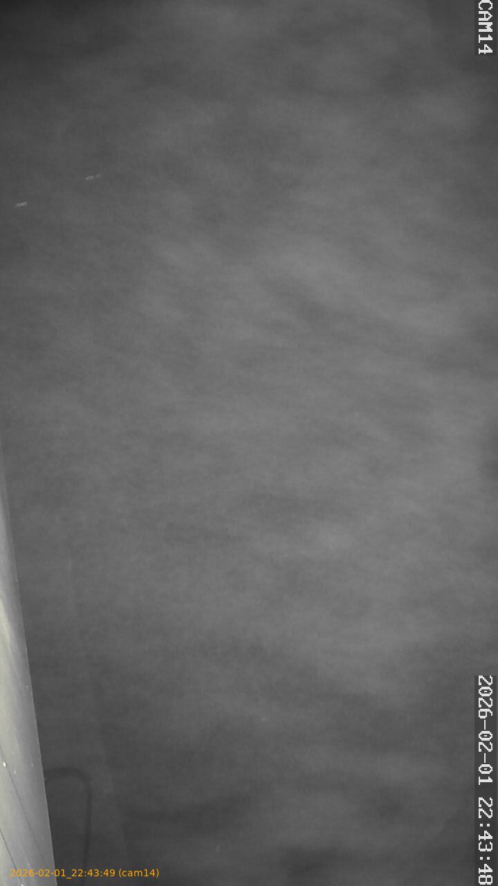 thumbnail_20260201224349