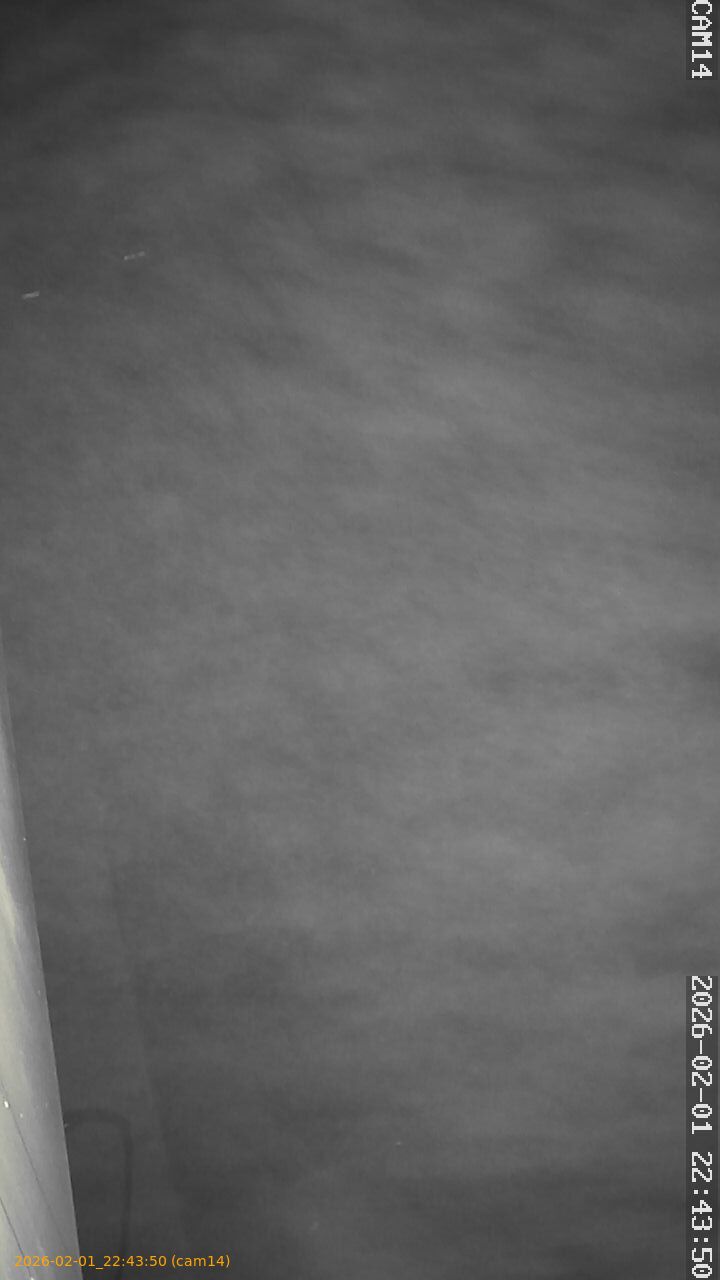 thumbnail_20260201224350