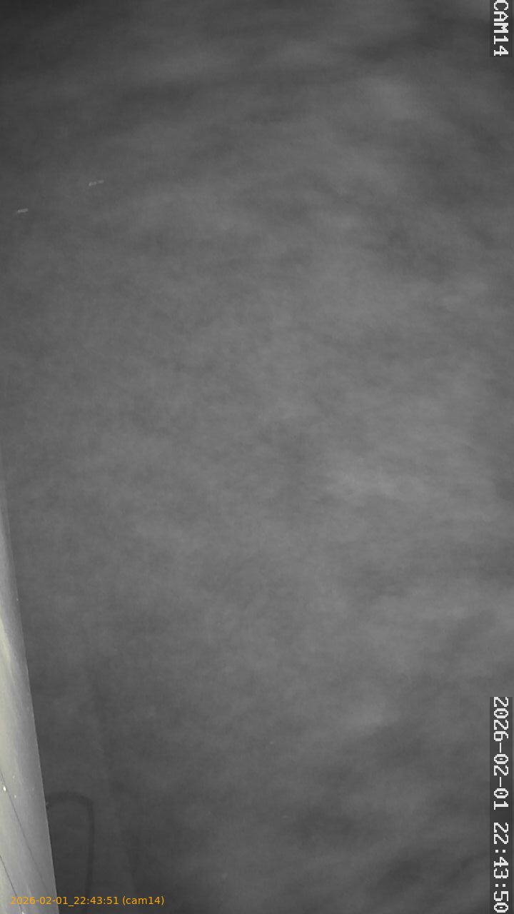 thumbnail_20260201224351