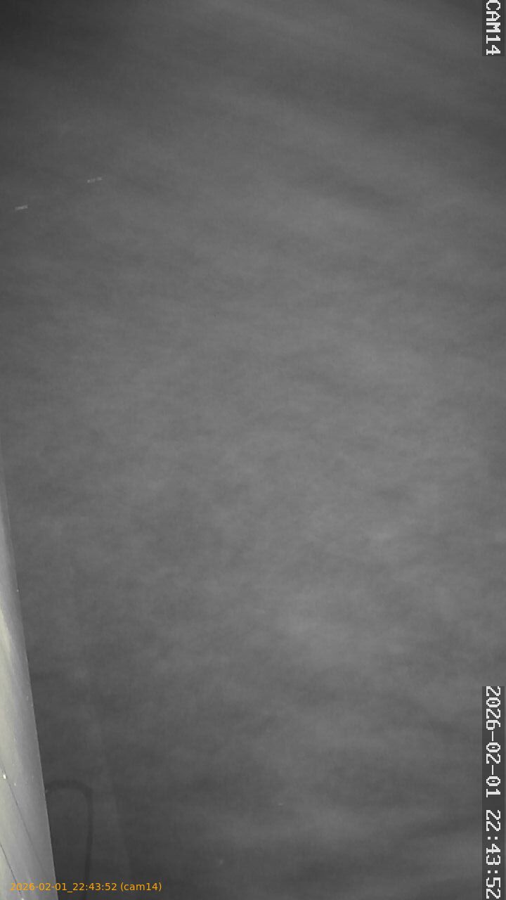 thumbnail_20260201224352