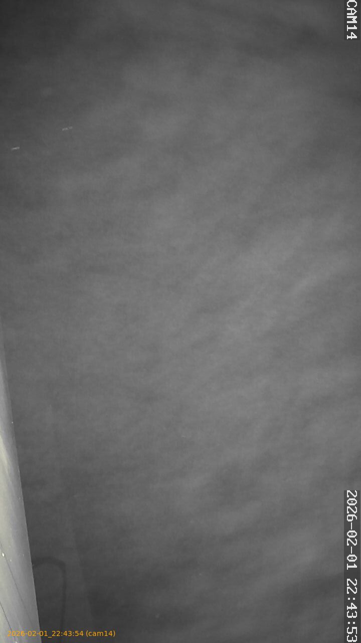 thumbnail_20260201224354