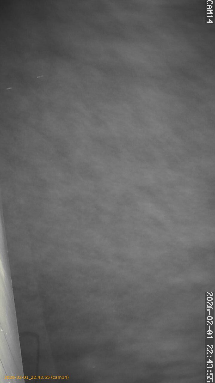 thumbnail_20260201224355