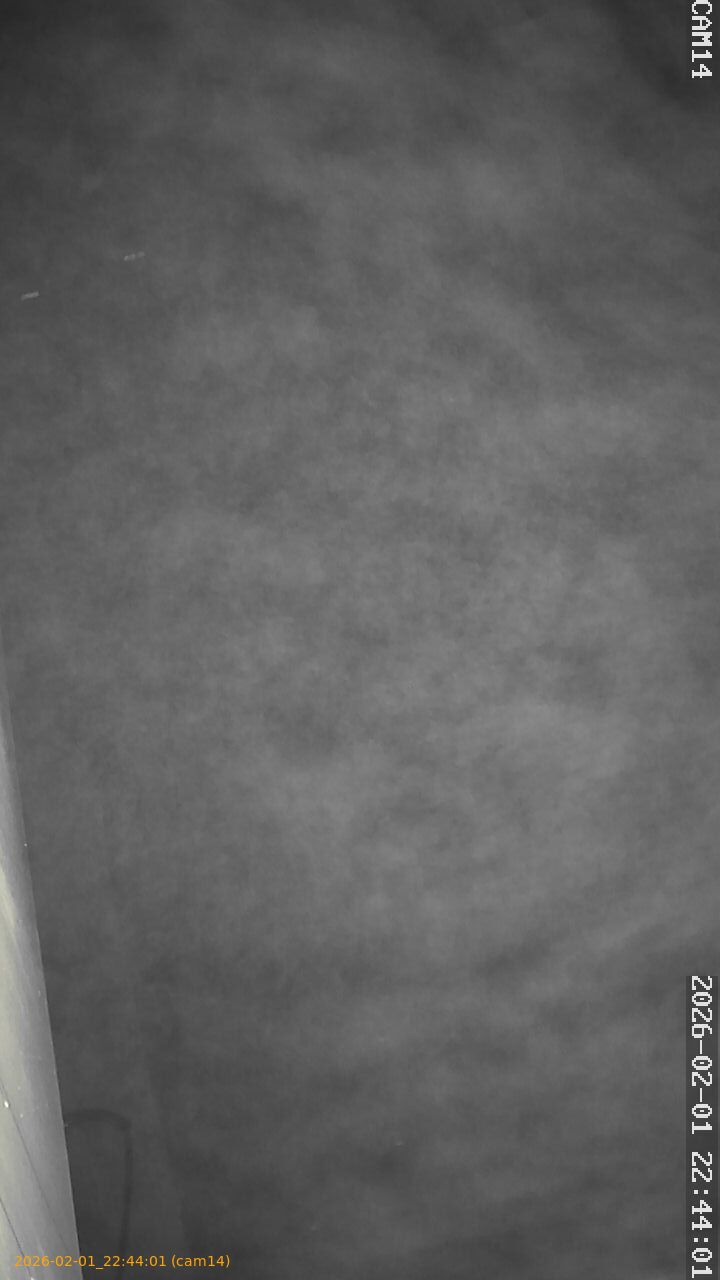 thumbnail_20260201224401