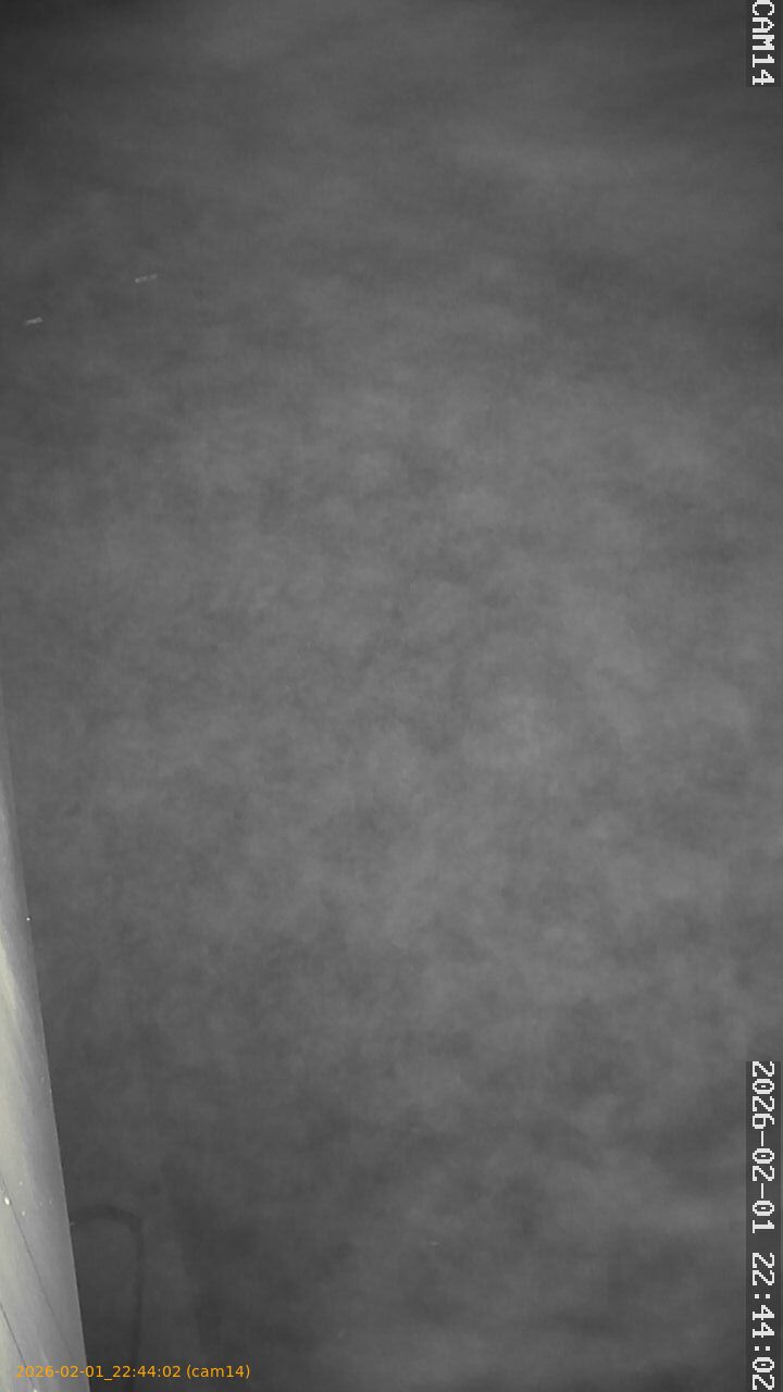 thumbnail_20260201224402