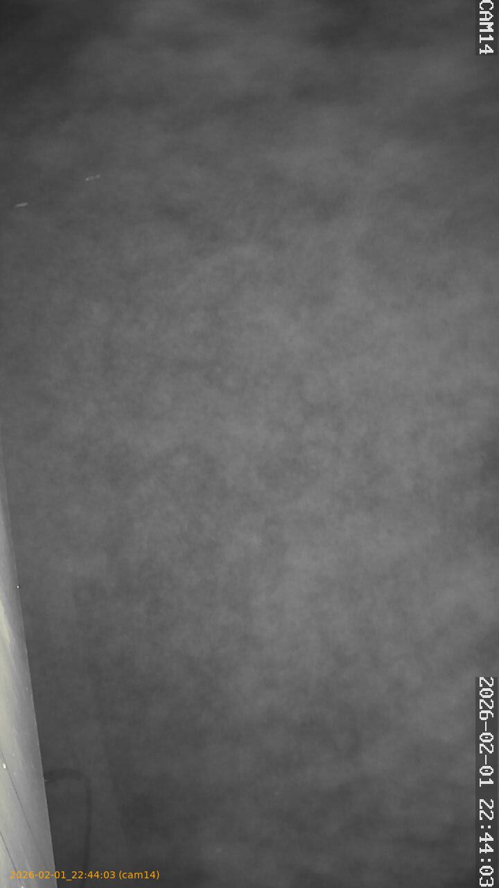 thumbnail_20260201224403