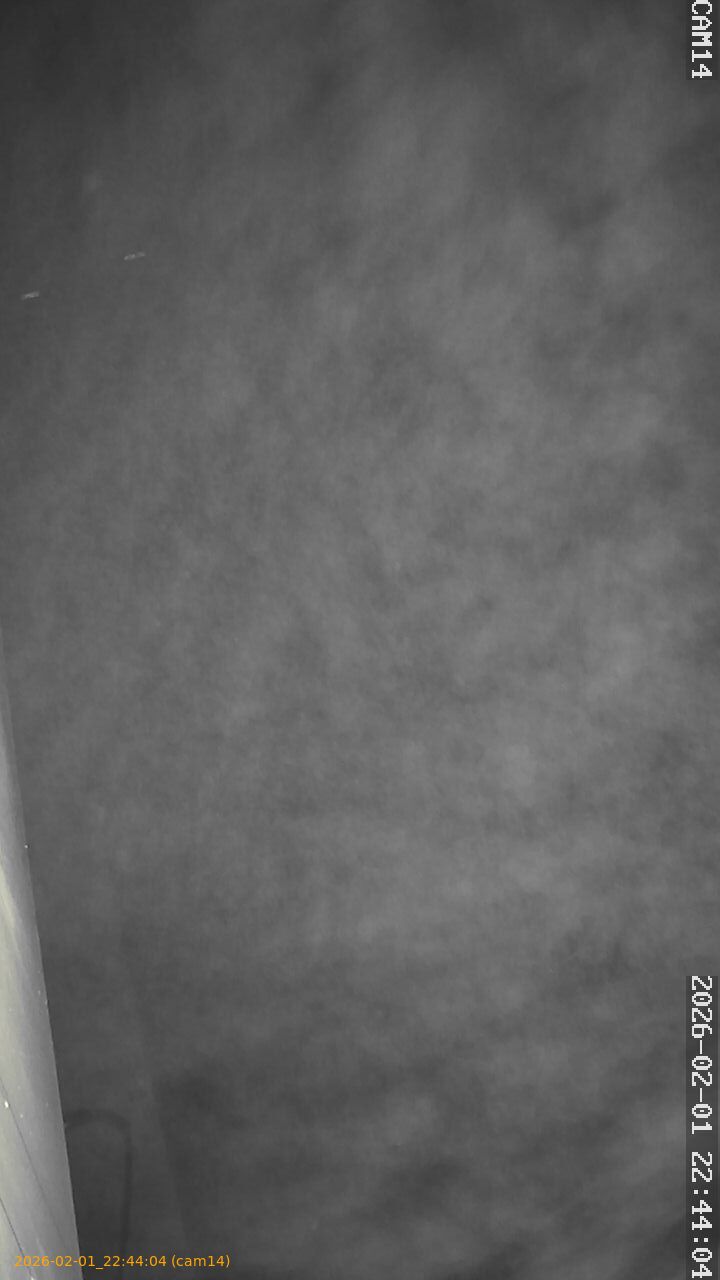 thumbnail_20260201224404