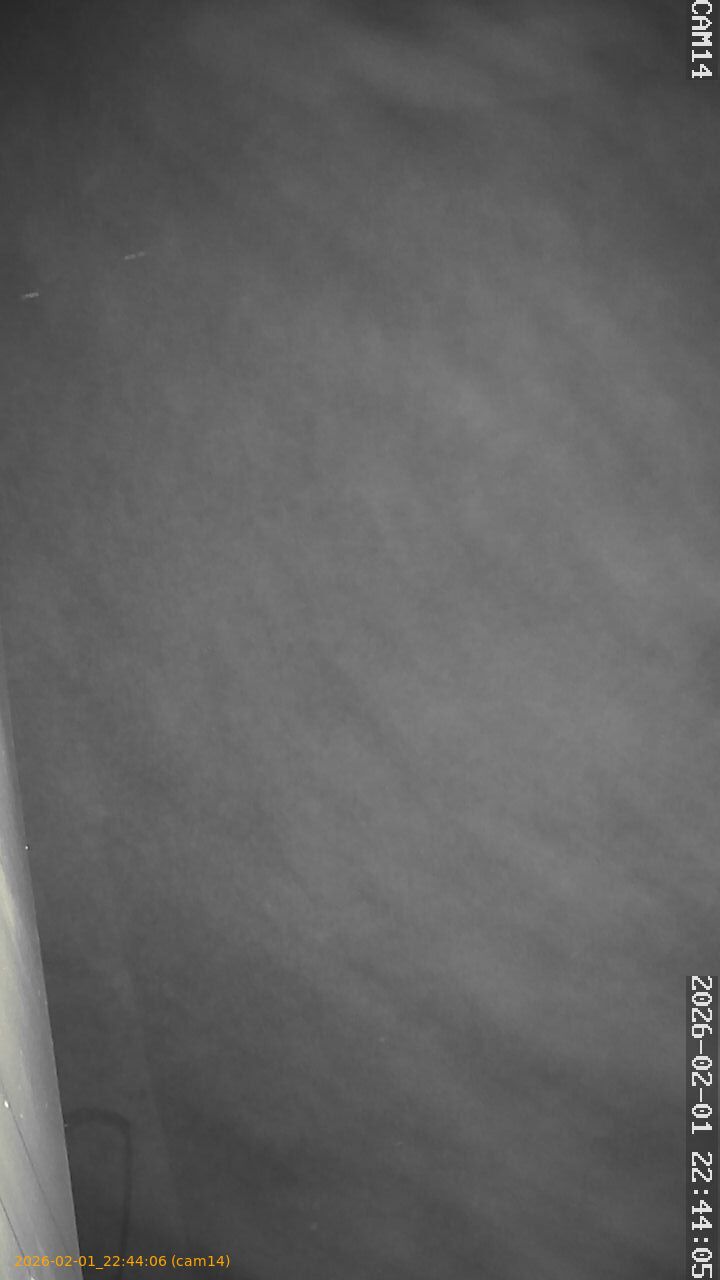 thumbnail_20260201224406