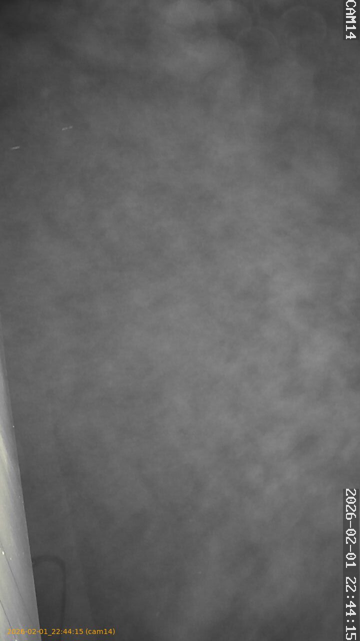 thumbnail_20260201224415