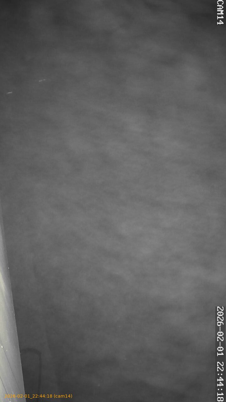 thumbnail_20260201224418