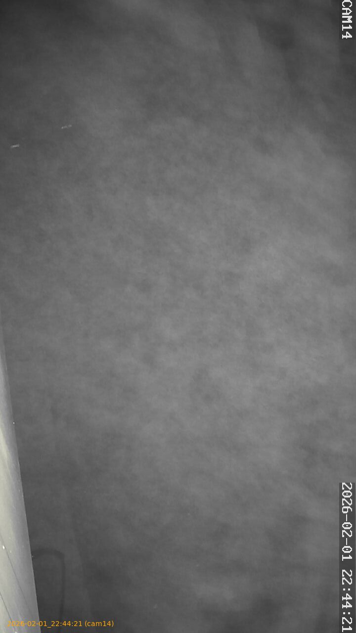 thumbnail_20260201224421