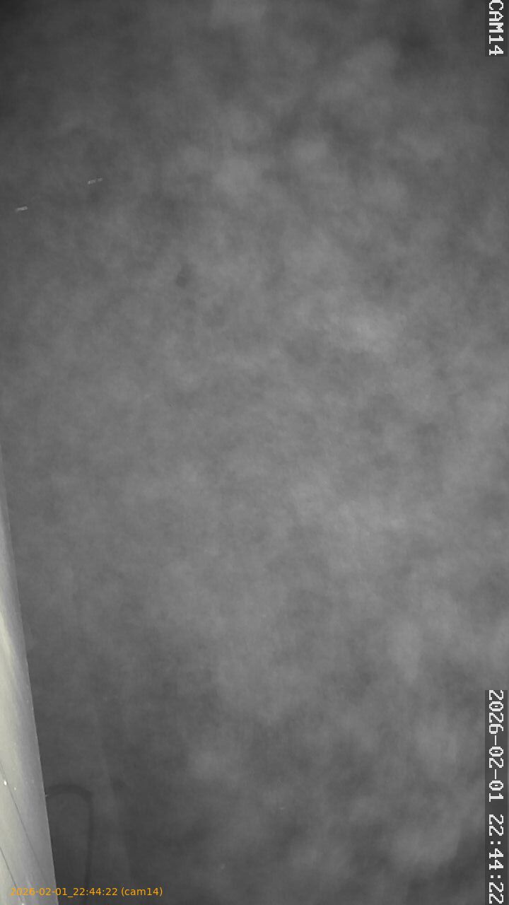 thumbnail_20260201224422