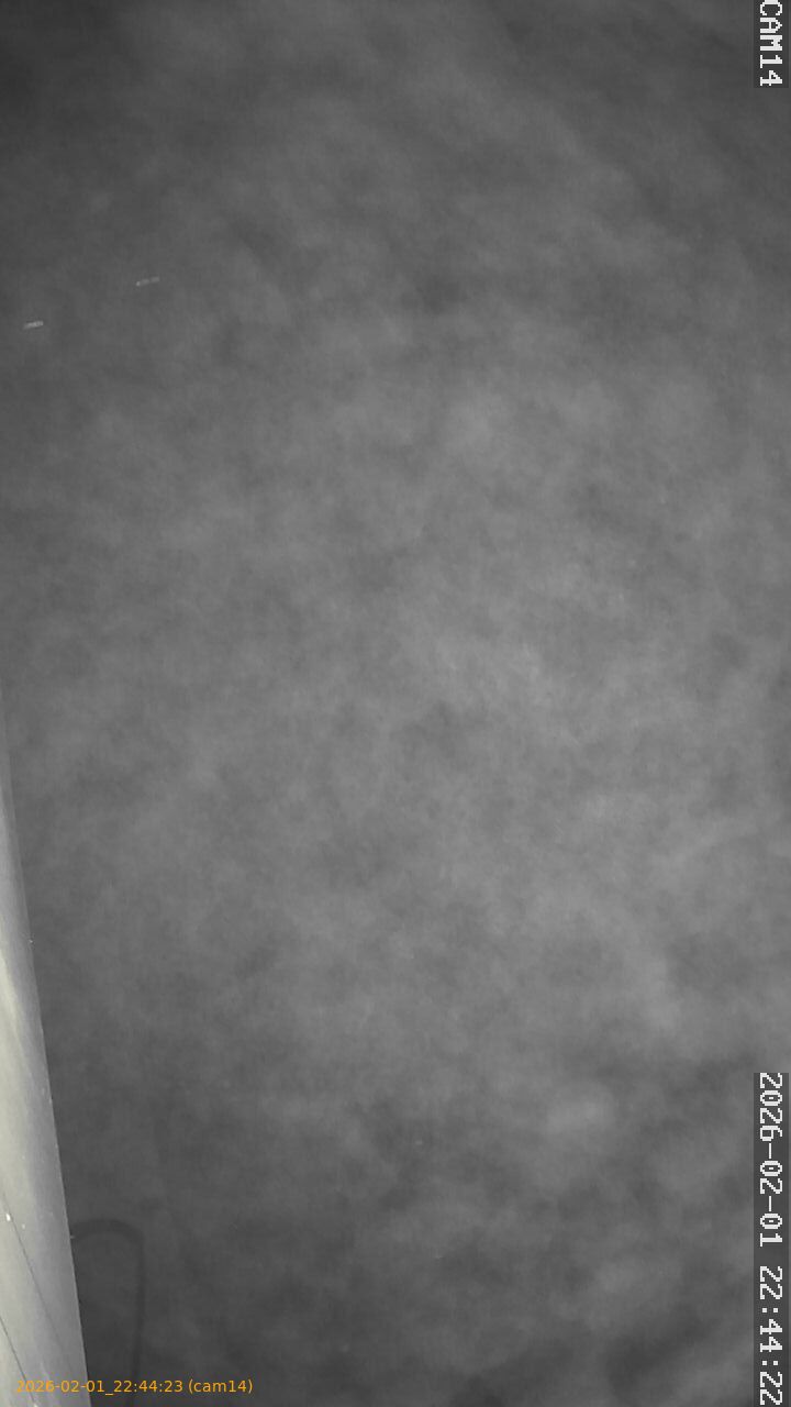 thumbnail_20260201224423