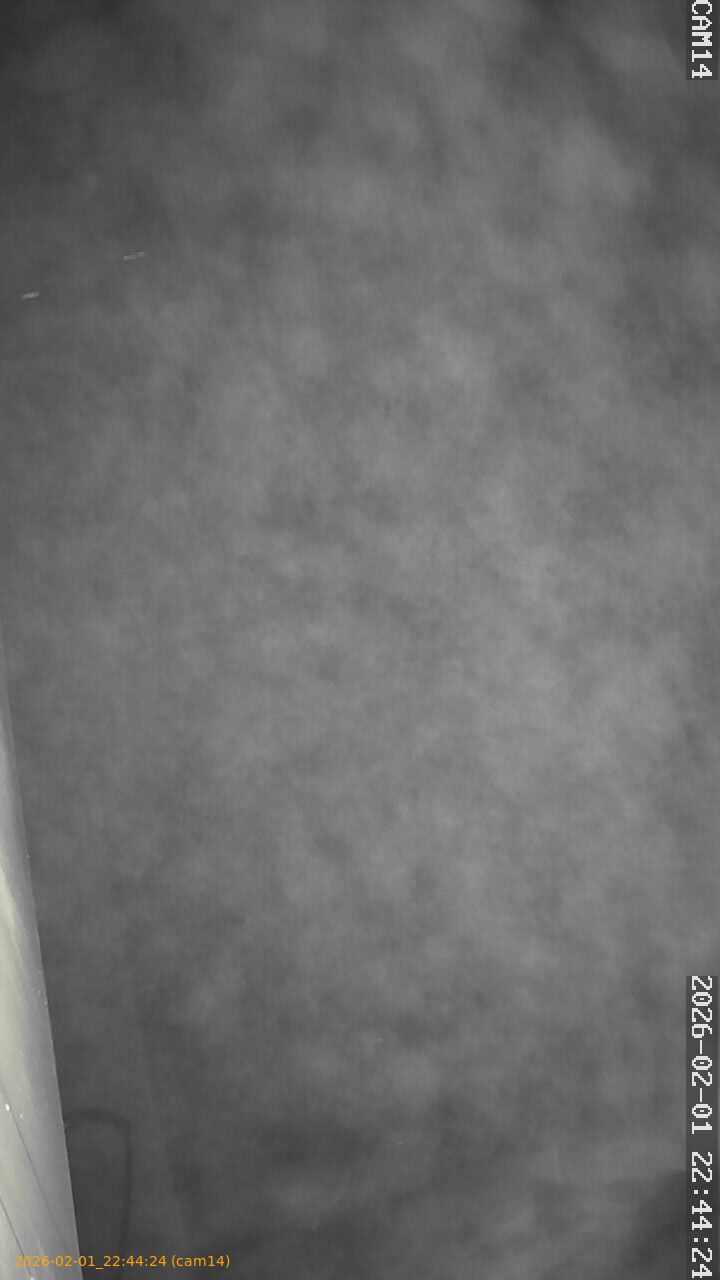 thumbnail_20260201224424