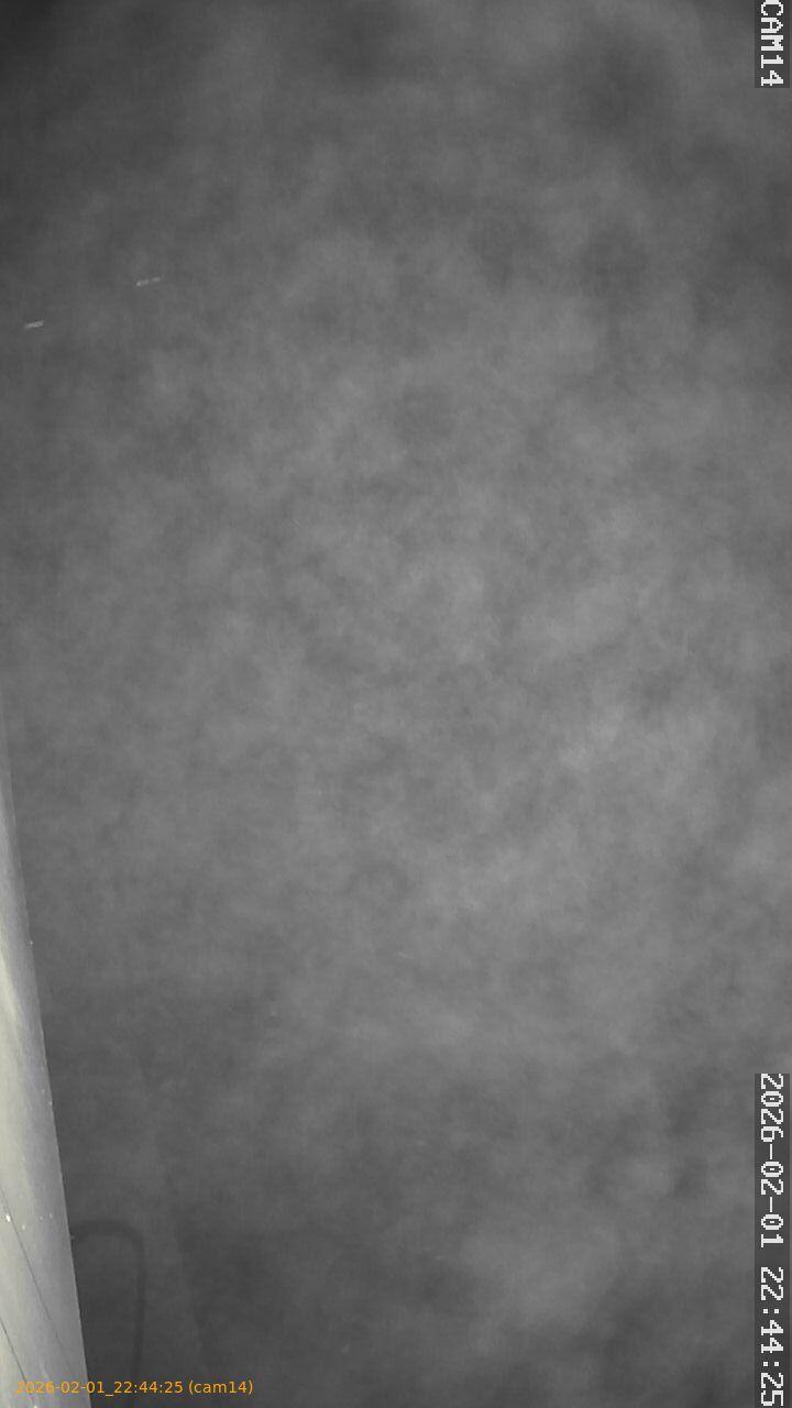 thumbnail_20260201224425