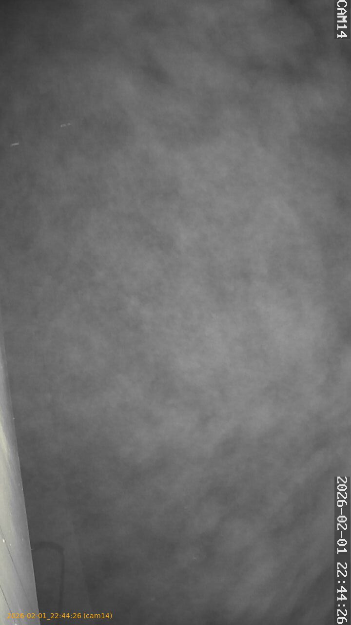 thumbnail_20260201224426