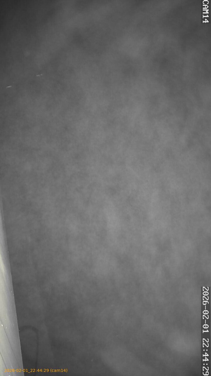 thumbnail_20260201224429