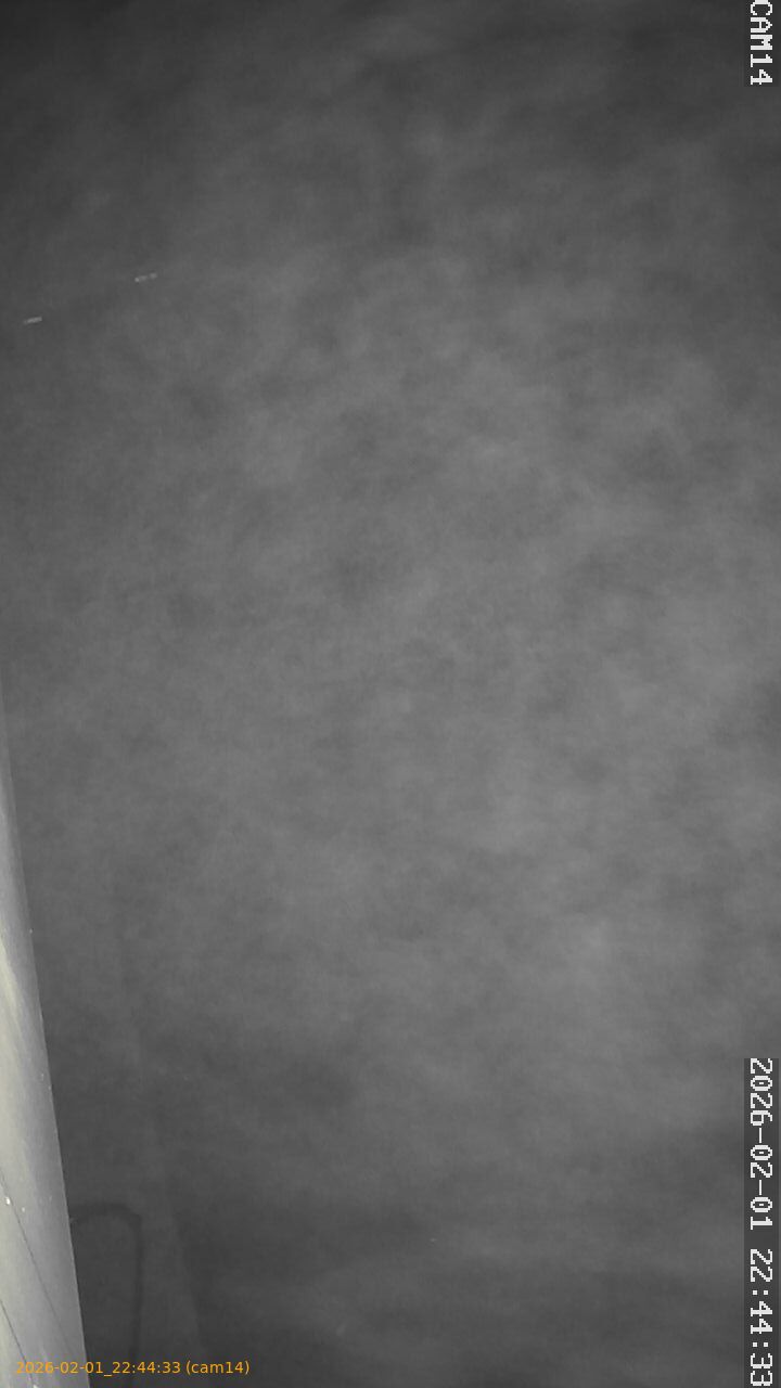 thumbnail_20260201224433