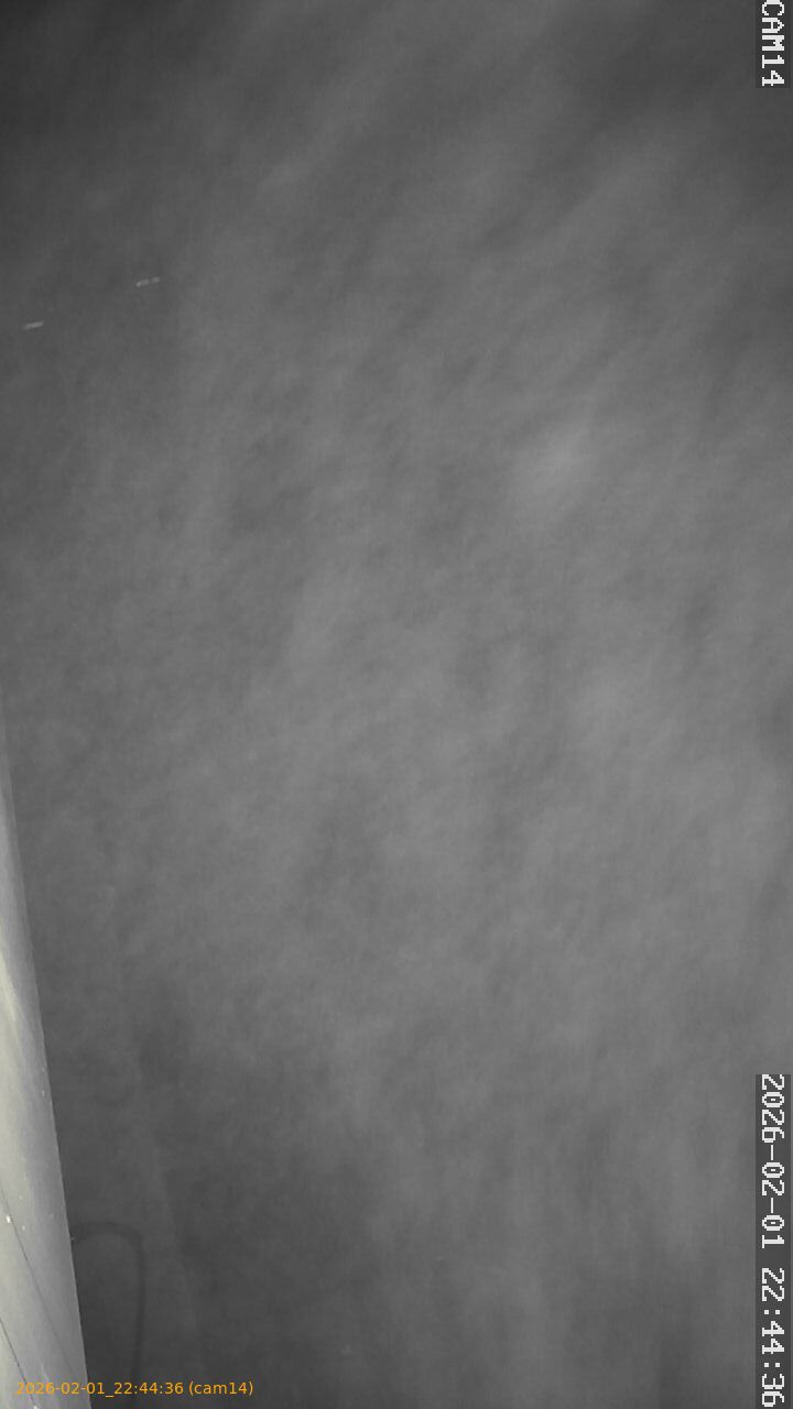 thumbnail_20260201224436