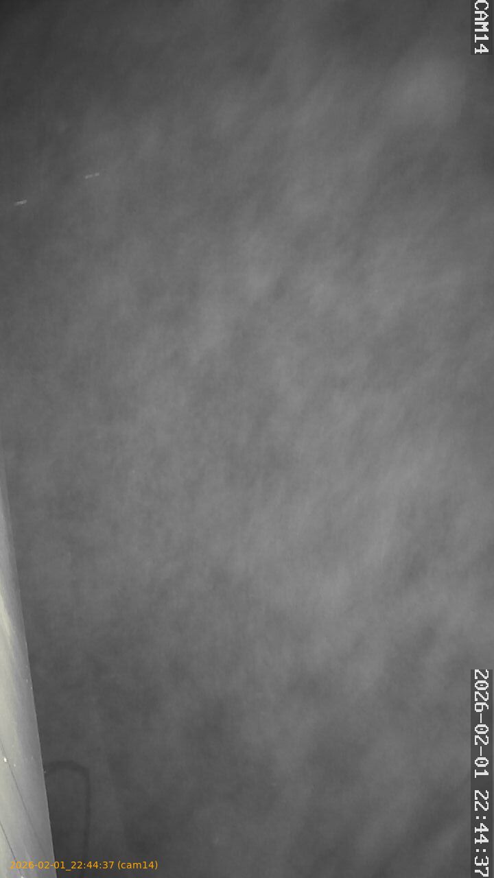 thumbnail_20260201224437