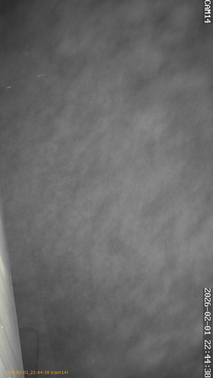 thumbnail_20260201224438