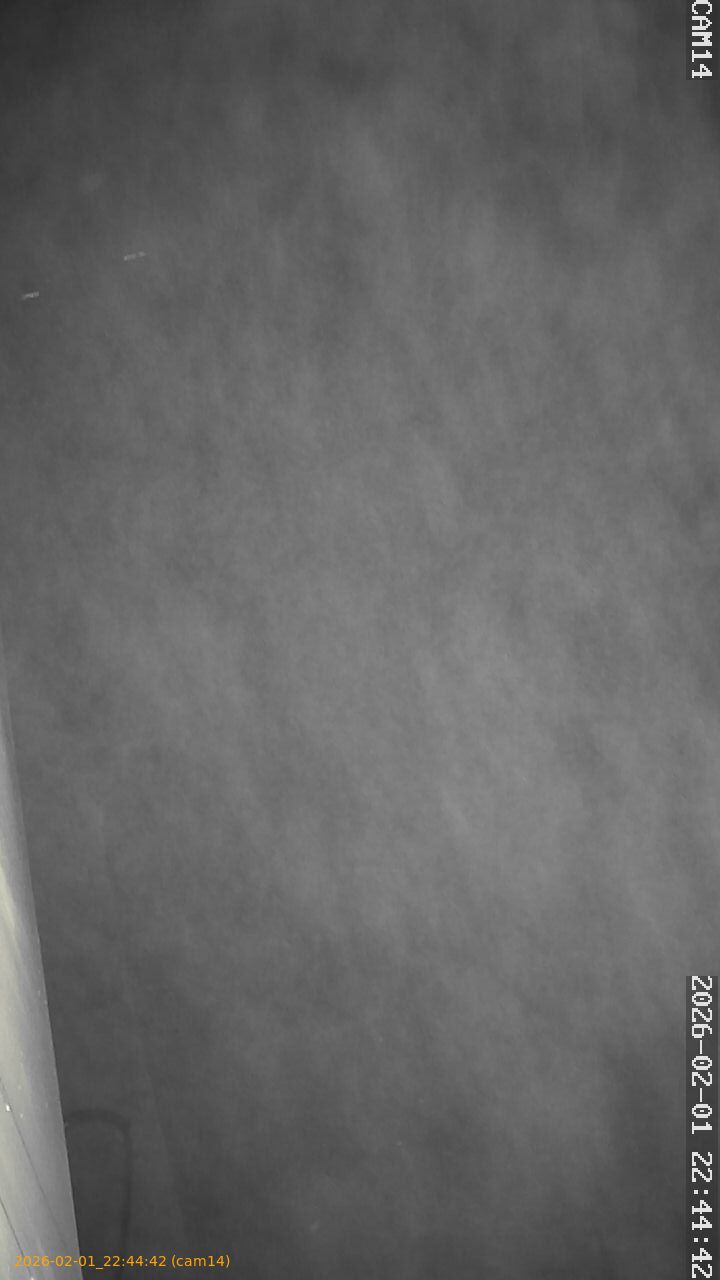 thumbnail_20260201224442