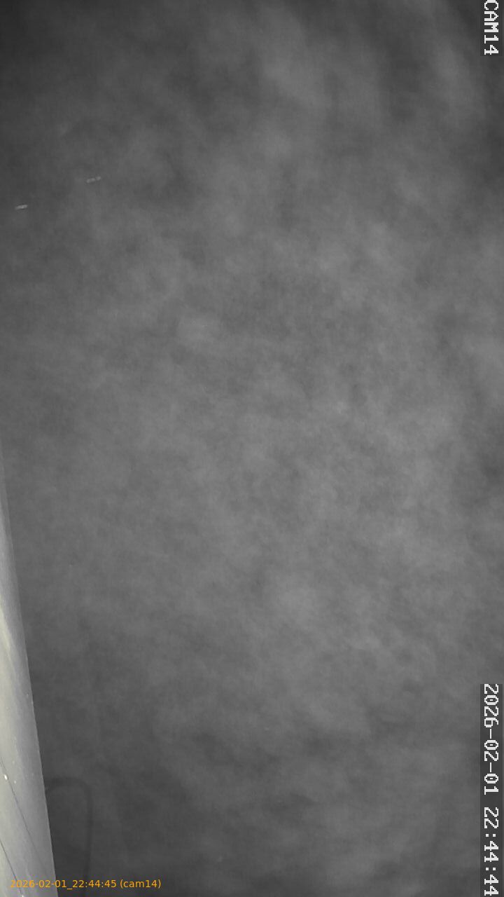 thumbnail_20260201224444