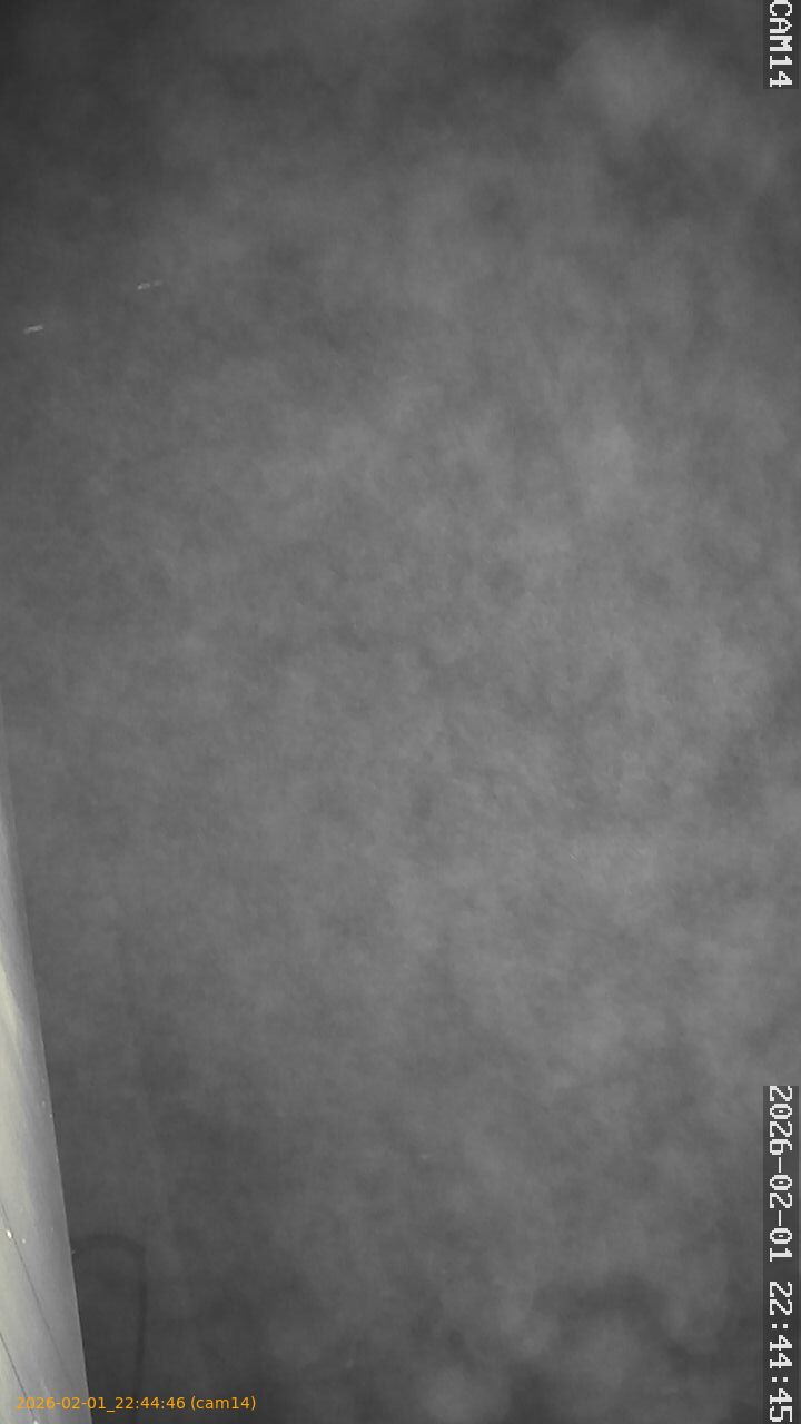 thumbnail_20260201224446