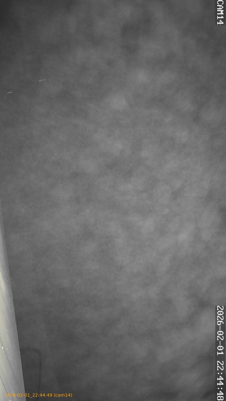 thumbnail_20260201224449