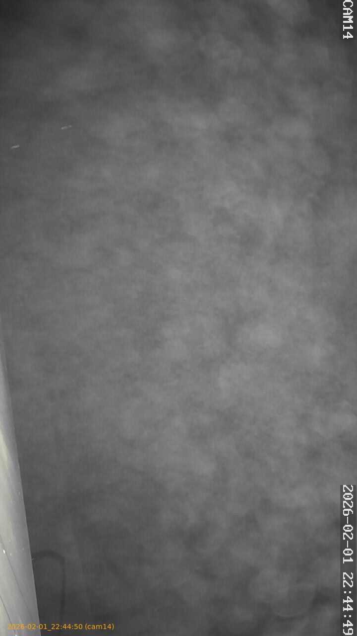 thumbnail_20260201224450