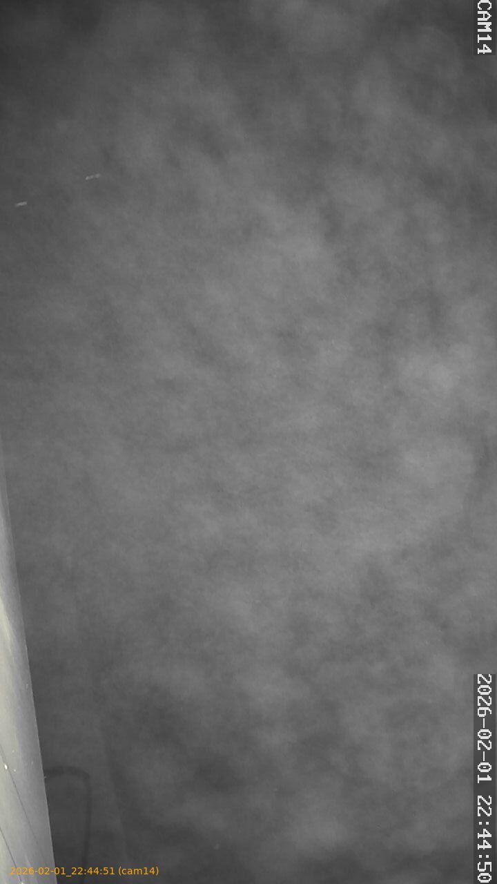 thumbnail_20260201224451