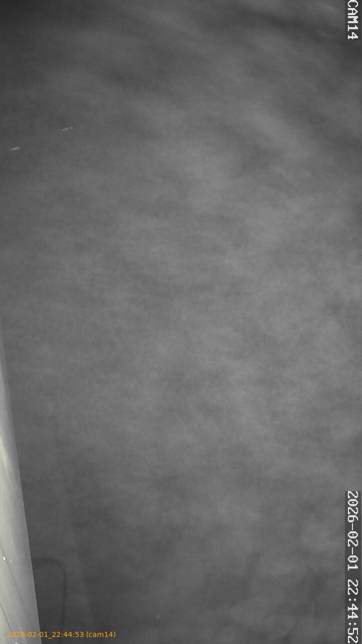 thumbnail_20260201224453