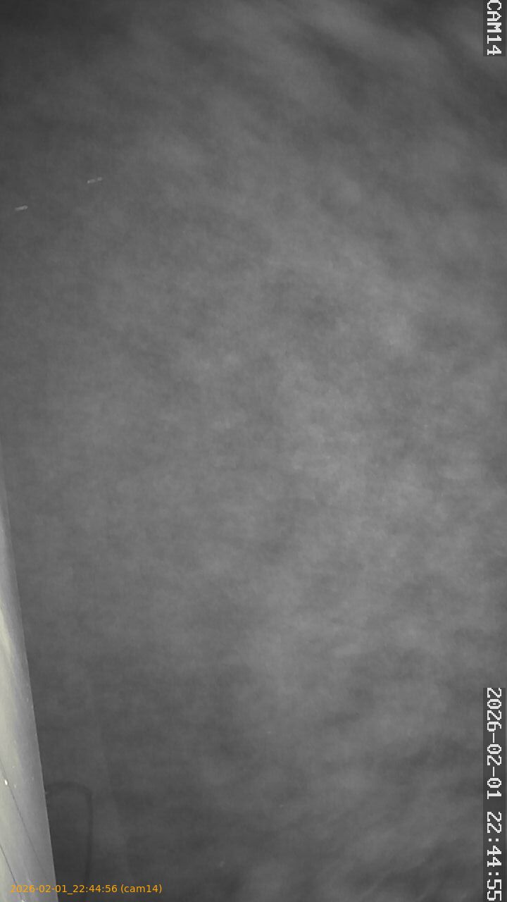 thumbnail_20260201224456