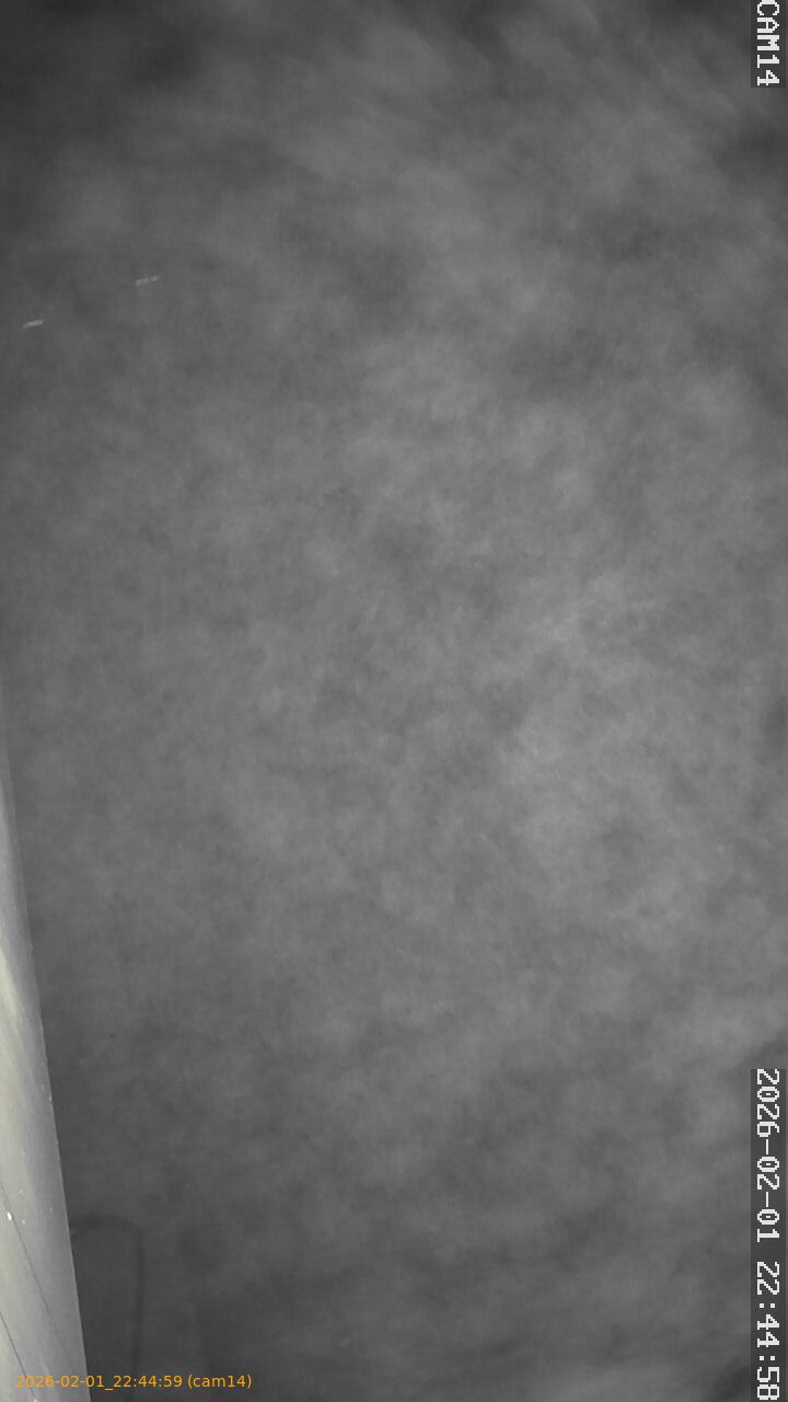 thumbnail_20260201224459