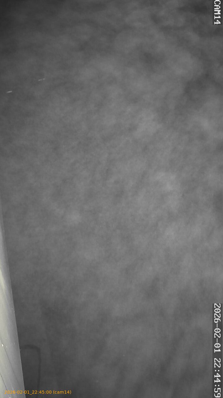 thumbnail_20260201224500