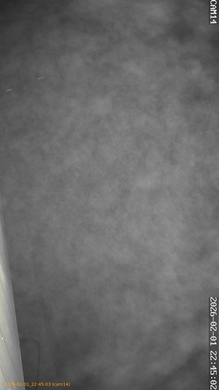 thumbnail_20260201224503