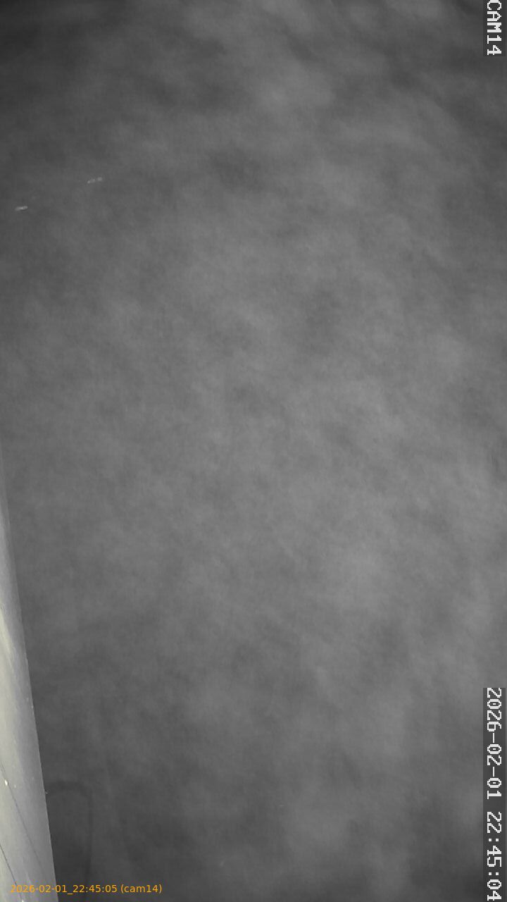 thumbnail_20260201224505