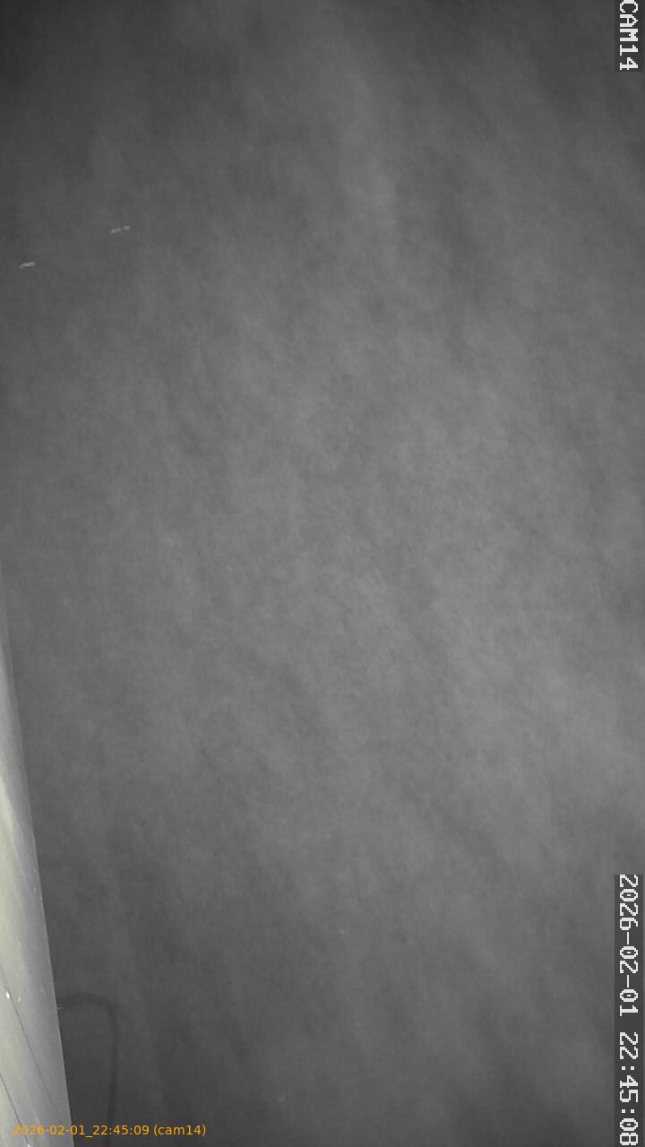 thumbnail_20260201224509