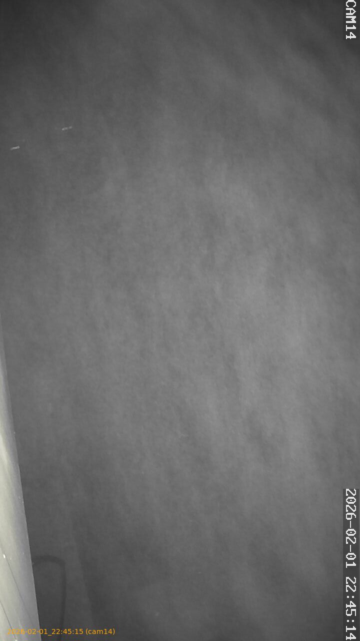 thumbnail_20260201224515