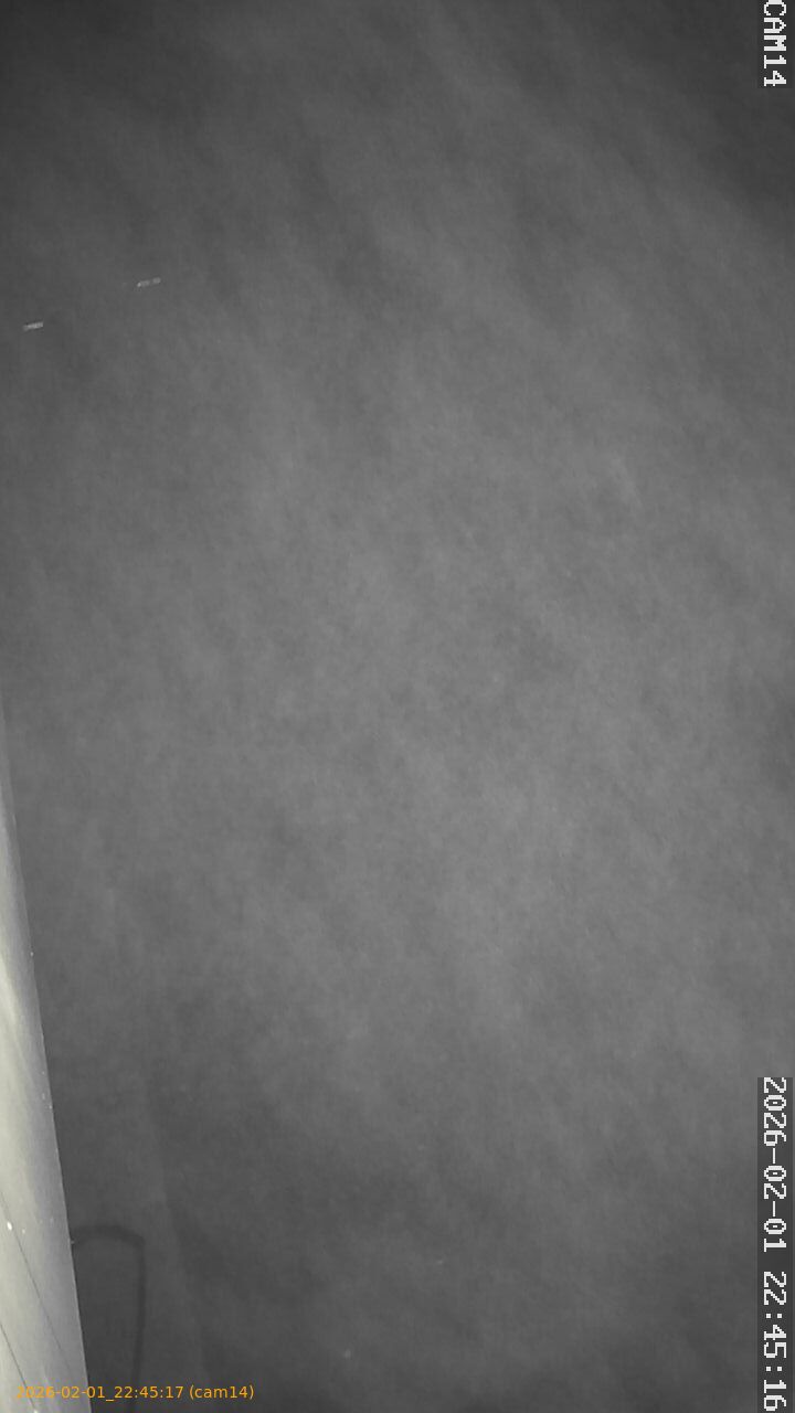 thumbnail_20260201224517