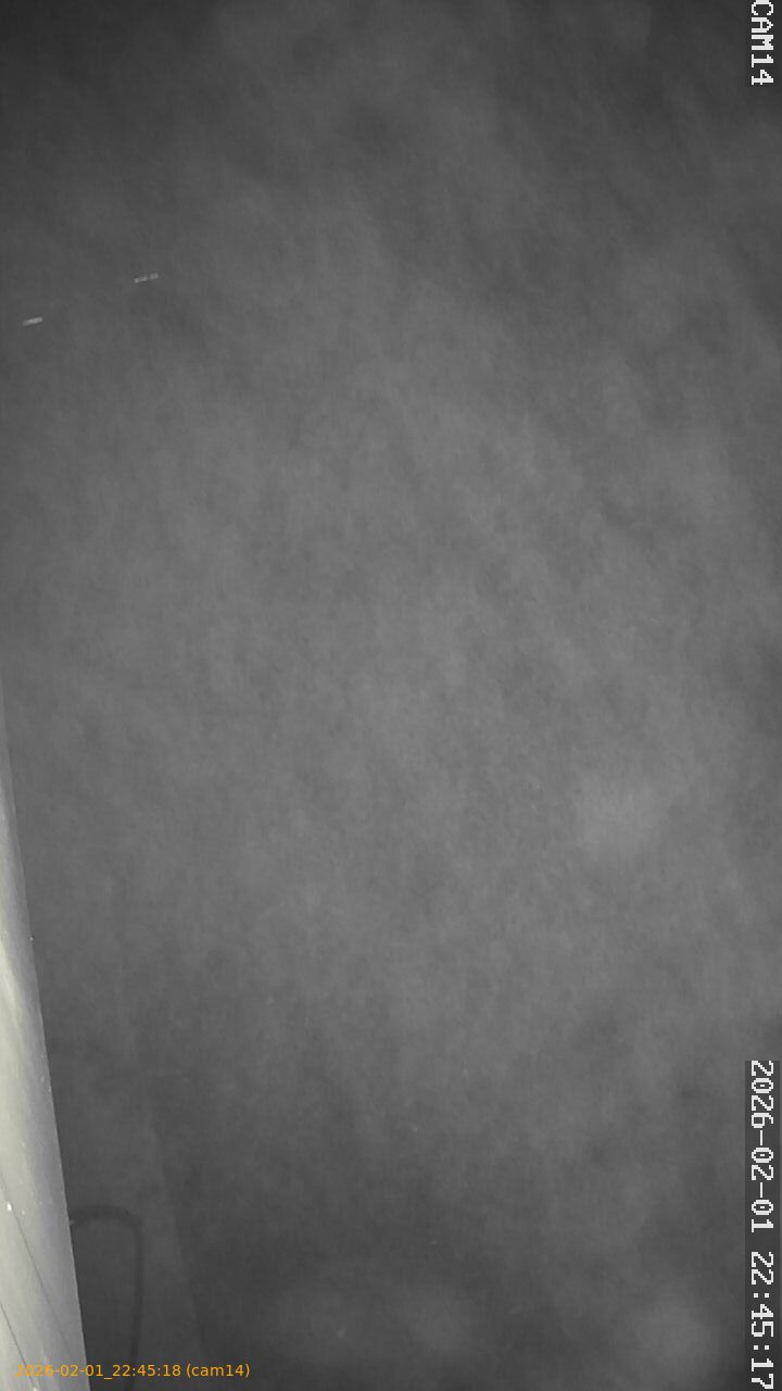 thumbnail_20260201224518