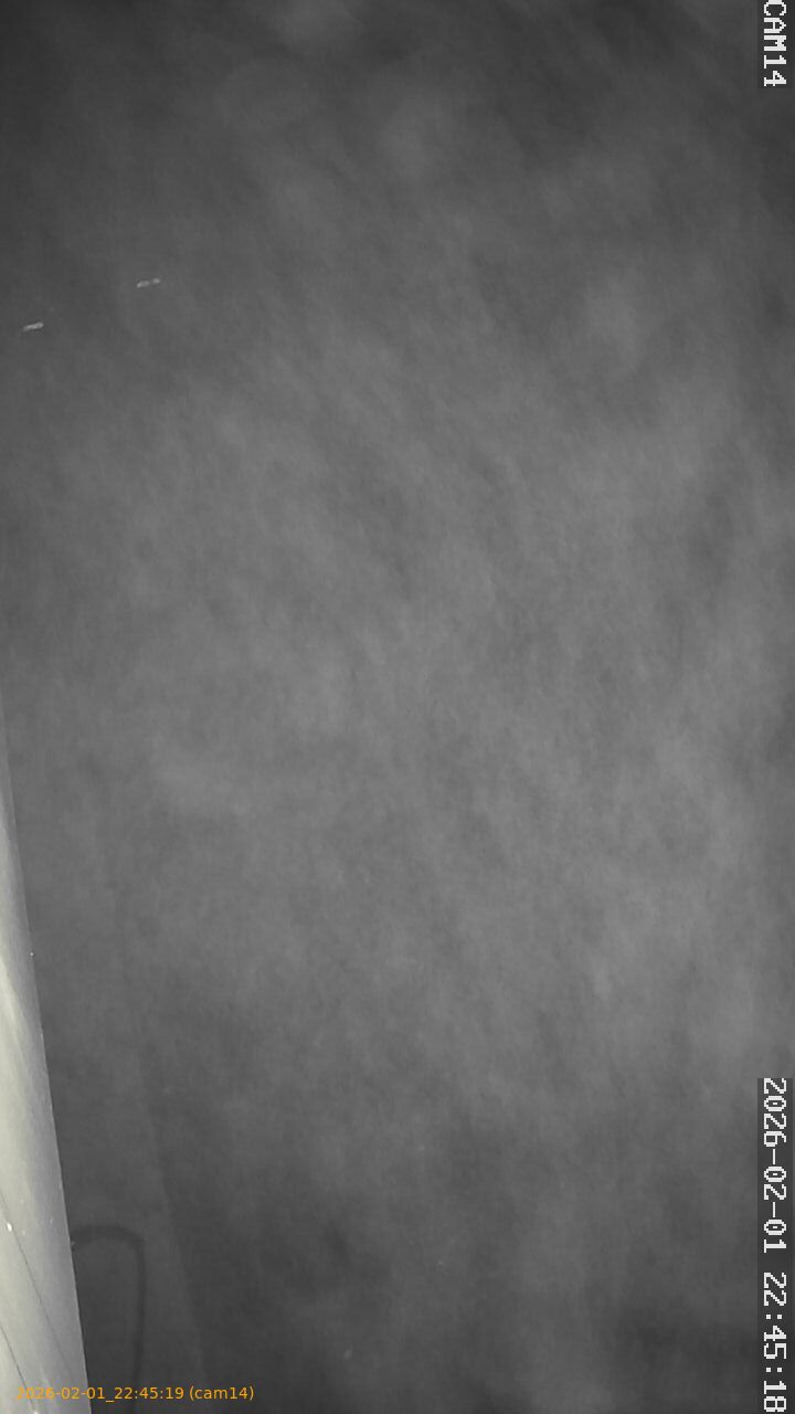 thumbnail_20260201224519