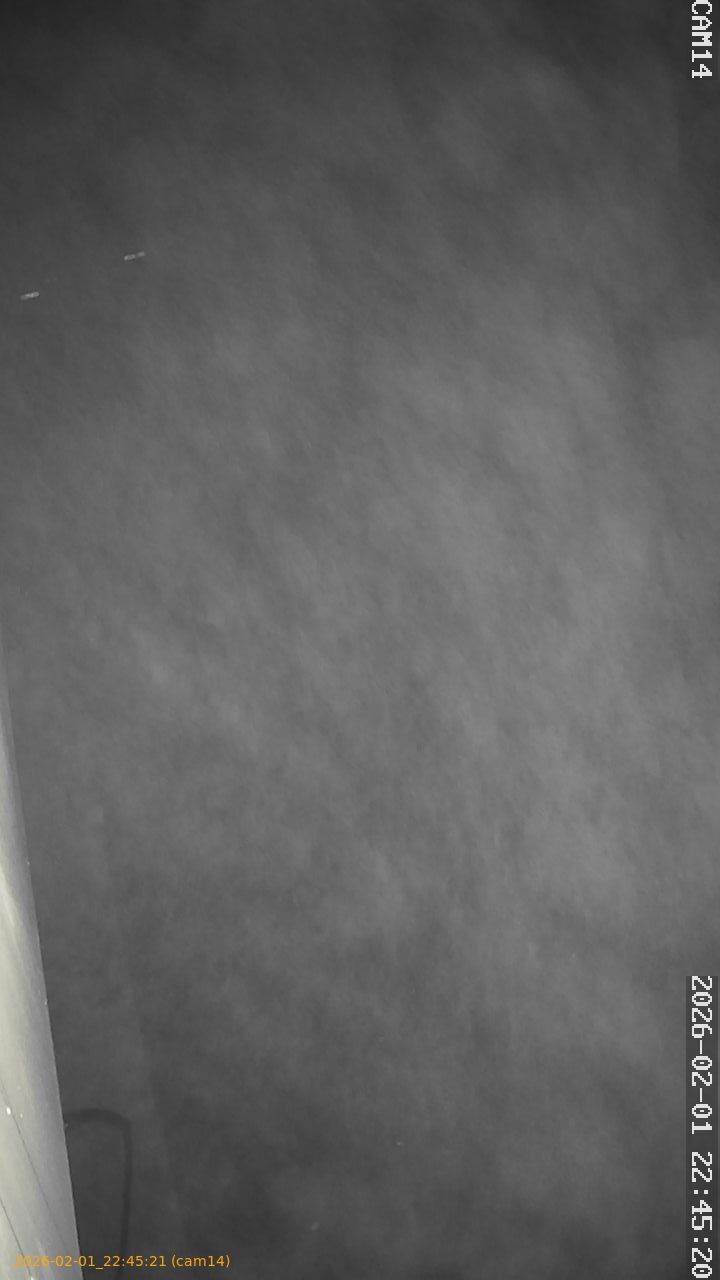 thumbnail_20260201224521