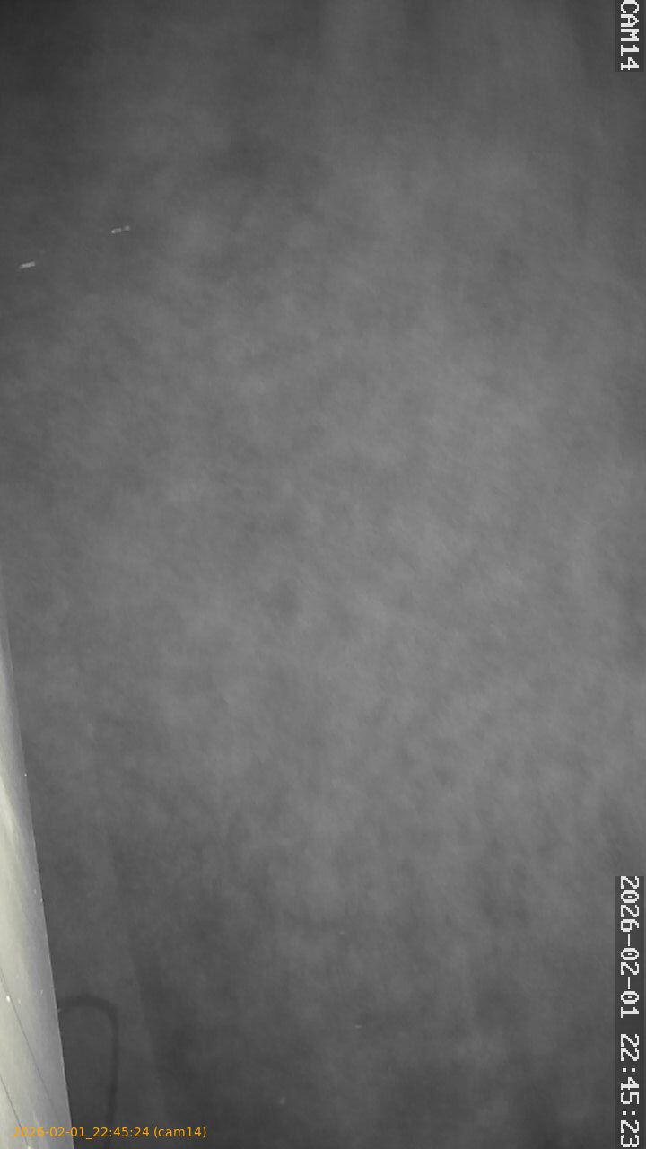 thumbnail_20260201224524