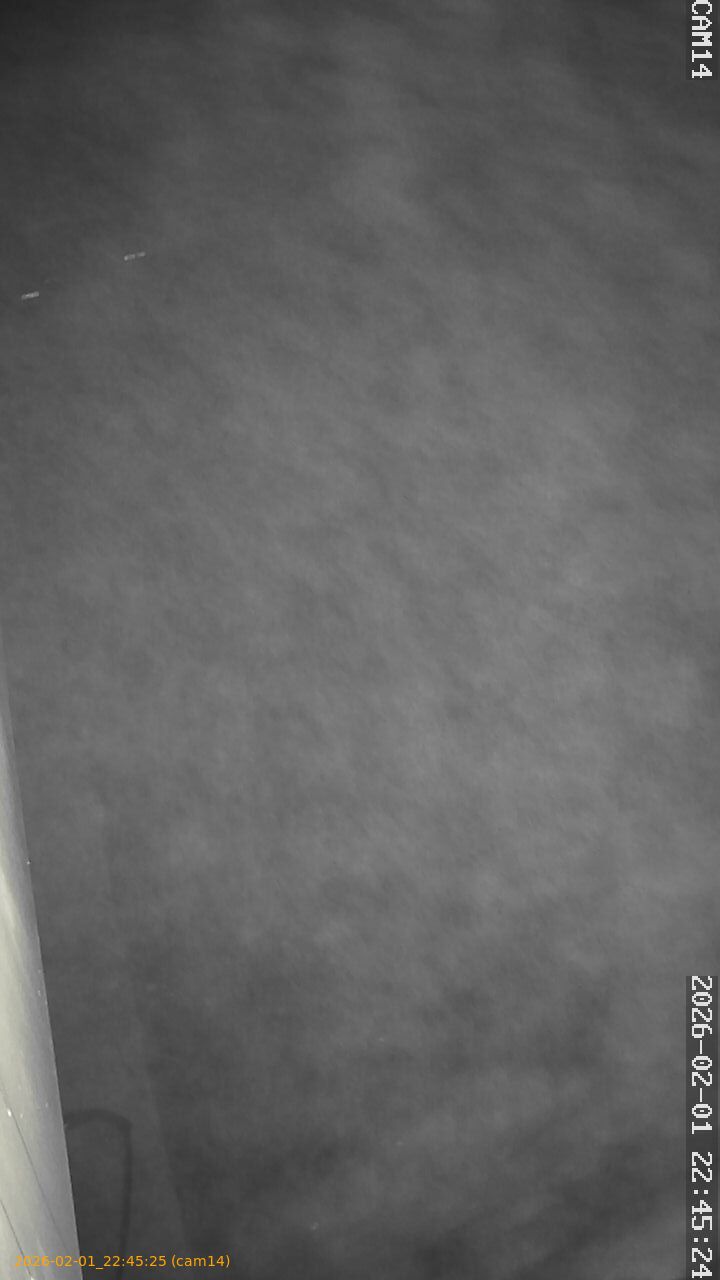 thumbnail_20260201224525