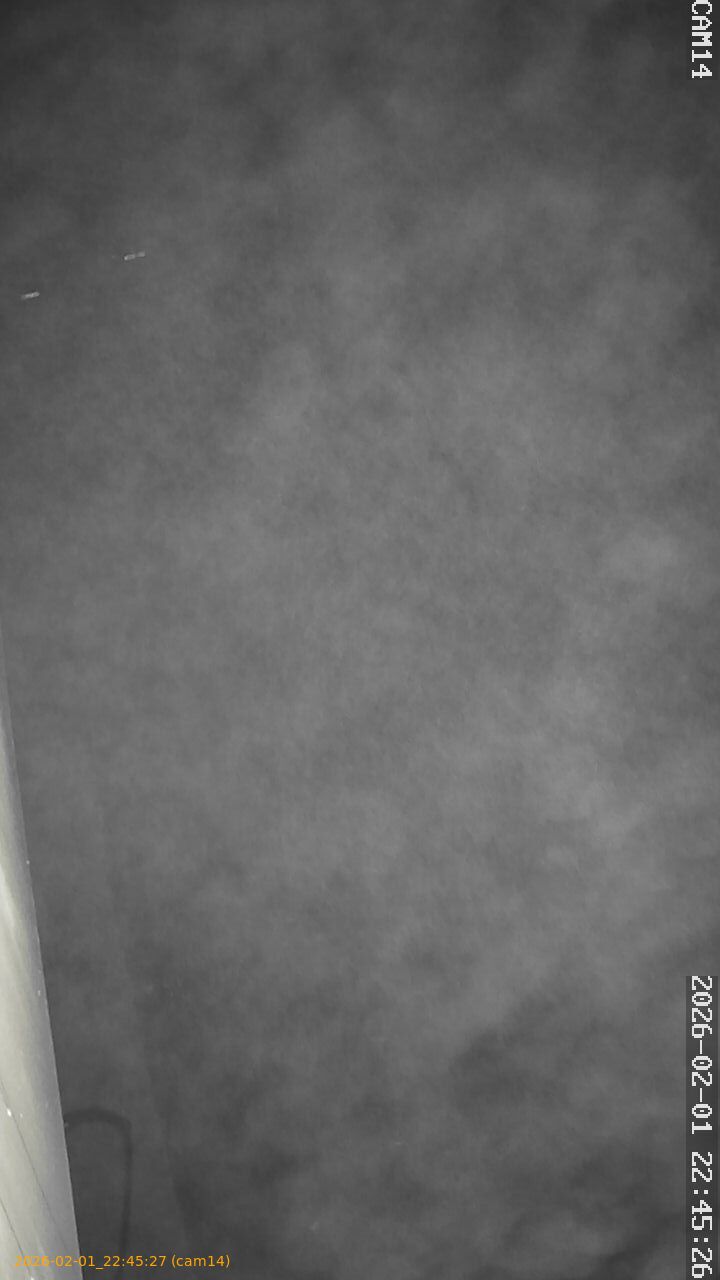 thumbnail_20260201224527