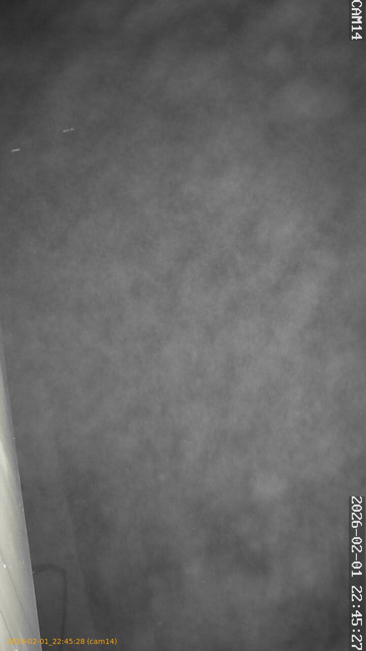 thumbnail_20260201224528