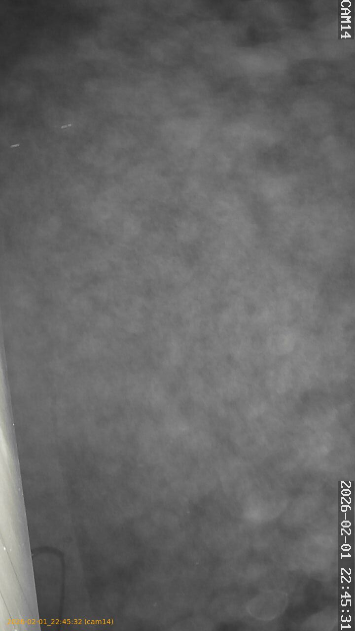 thumbnail_20260201224532