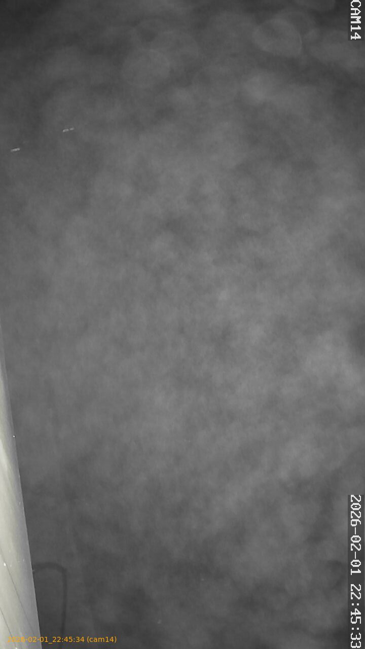 thumbnail_20260201224534