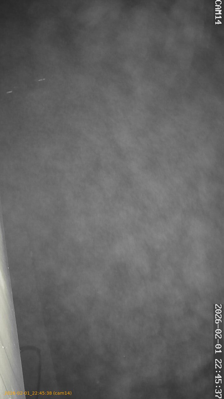 thumbnail_20260201224538