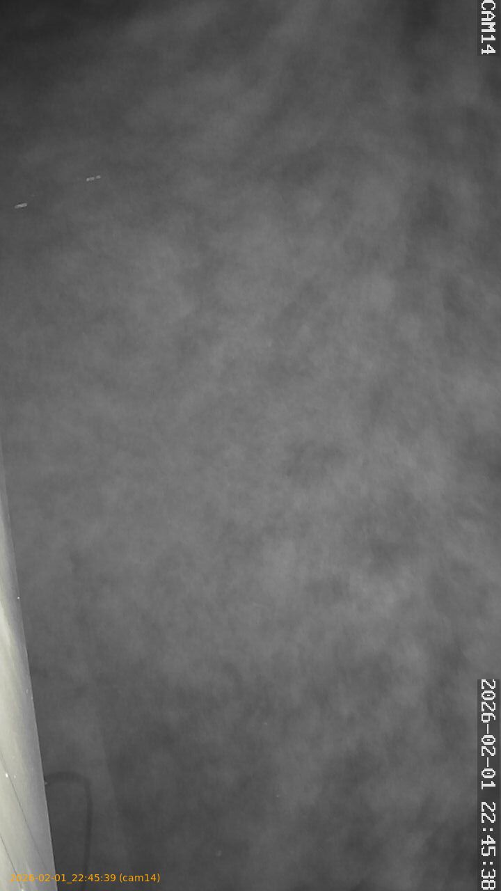 thumbnail_20260201224539